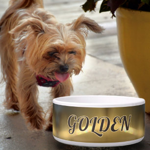 Golden Refraction Haustier Hund Napf