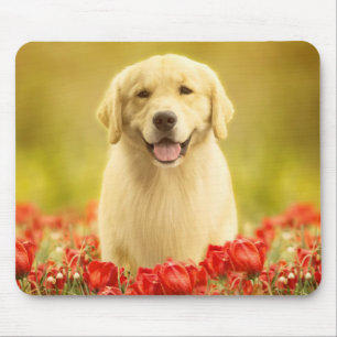 Golden Retirever in Roten Blume Mousepad