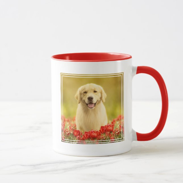 Golden Retirever in Roten Blume Tasse (Rechts)