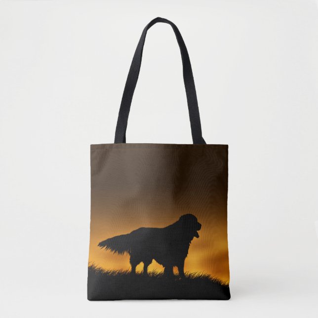 Golden retriever (Vorderseite)
