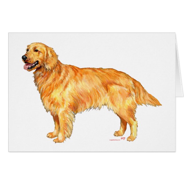 Golden Retriever (Vorderseite (Horizontal))