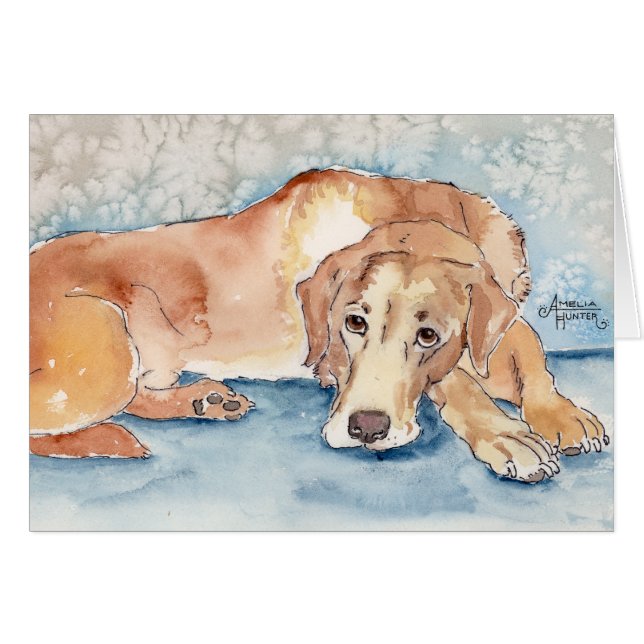Golden retriever (Vorderseite (Horizontal))