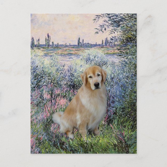 Golden Retriever10 - An der Seine Postkarte (Vorderseite)