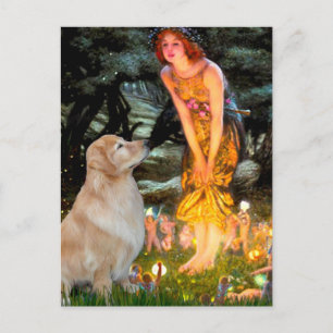 Golden Retriever 11 - Mitternachtsabend Postkarte