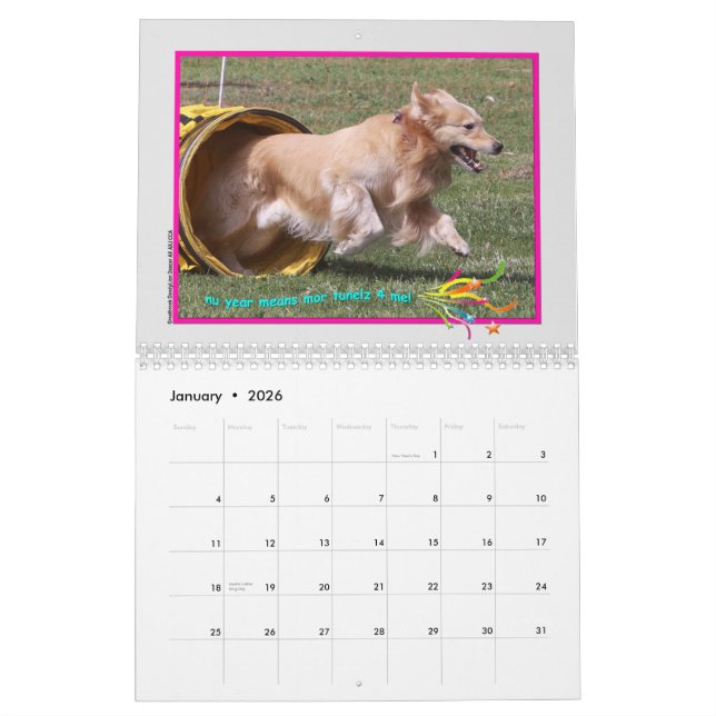 Golden Retriever 2015 Kalender (Jan 2026)