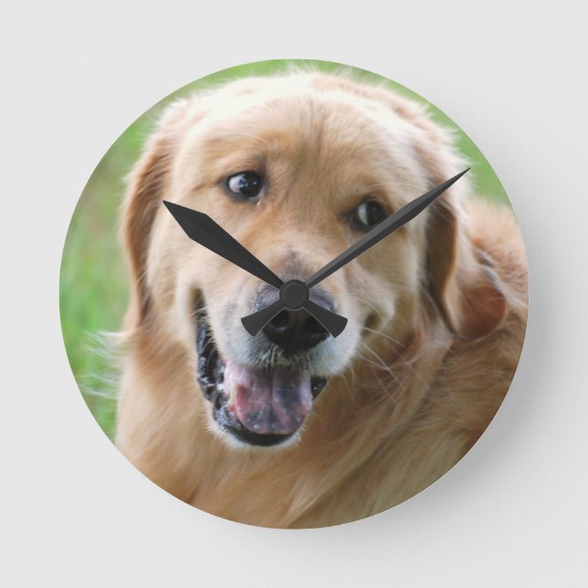 Golden Retriever-31 Runde Wanduhr (Vorderseite)