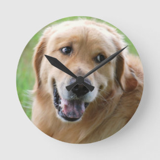 Golden Retriever-31 Runde Wanduhr