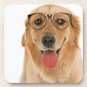 Golden retriever 3 getränkeuntersetzer