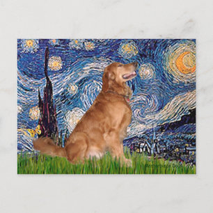 Golden Retriever 3 - Starry Night Postkarte