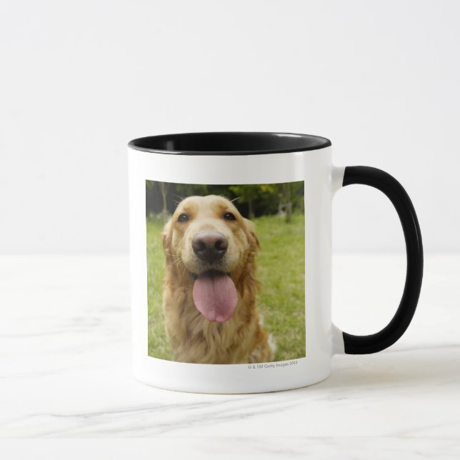 Golden retriever 4 tasse (Rechts)