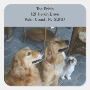 Golden Retriever Address Sticker