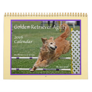 Golden Retriever Agility Calendar Kalender