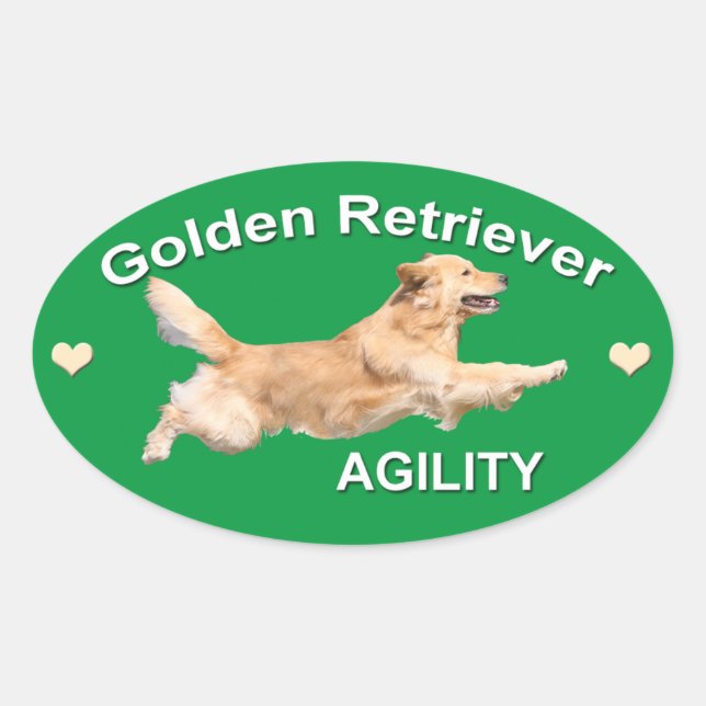 Golden Retriever Agility Decal Ovaler Aufkleber (Vorderseite)