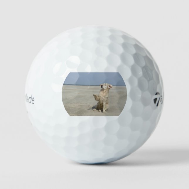 Golden Retriever am Strand Golfball (Vorderseite)