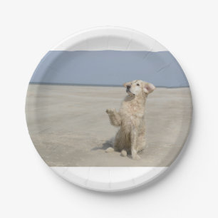 Golden Retriever am Strand Pappteller