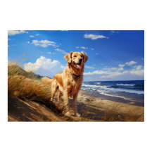 Golden Retriever am Strand