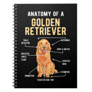 Golden Retriever Anatomy Funny Dog Notizblock