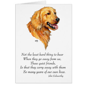 Golden Retriever Andenken