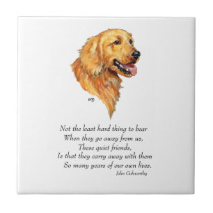 Golden Retriever Andenken Fliese
