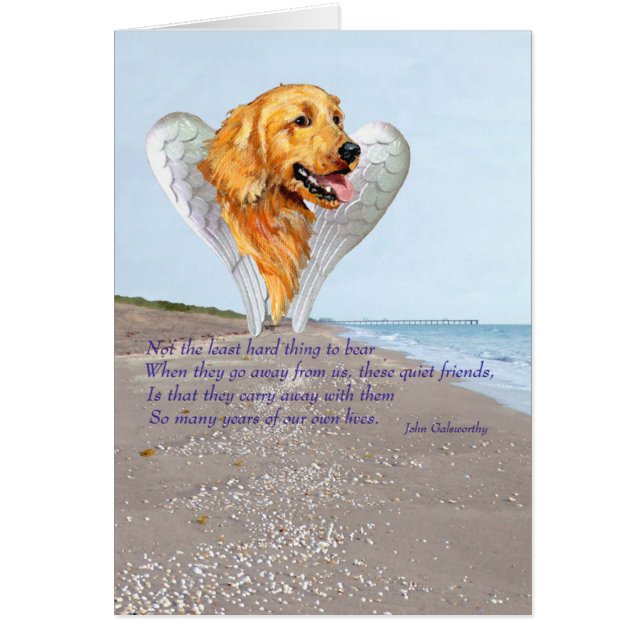 Golden Retriever Angel (Vorne)
