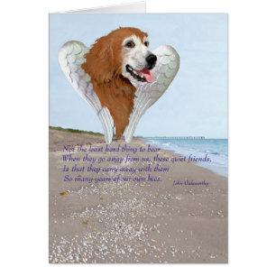 Golden Retriever Angel