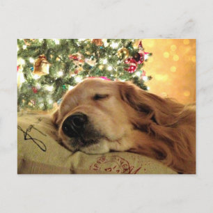 Golden Retriever Asleep By Christmas Tree Feiertagspostkarte