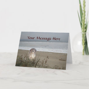 Golden Retriever auf der Beach Grußkarte Karte