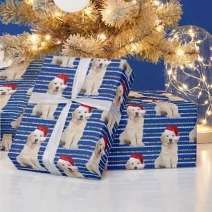 Golden Retriever auf glitzernden Streifen Geschenkpapier
