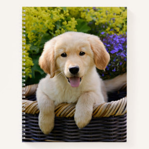 Golden Retriever Baby Doppy Welpe Foto Notizbuch