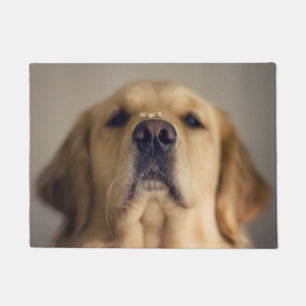 Golden Retriever Balancing Leckerei on Nose Fußmatte