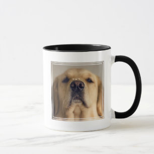 Golden Retriever Balancing Leckerei on Nose Tasse