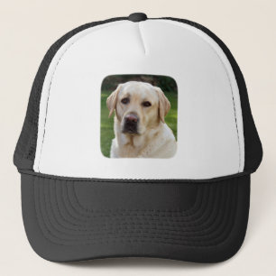 Golden Retriever Baseball / Trucker Hut Truckerkappe