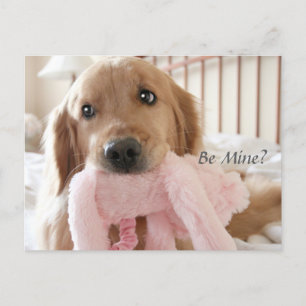 Golden Retriever Be Mine Valentine's Day Feiertagspostkarte