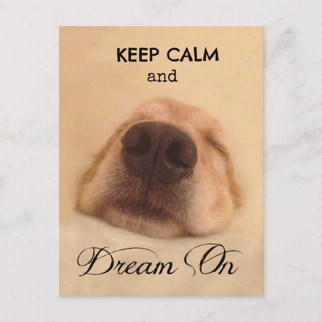 Golden Retriever Behalt Calm Dream Postkarte (Vorderseite)
