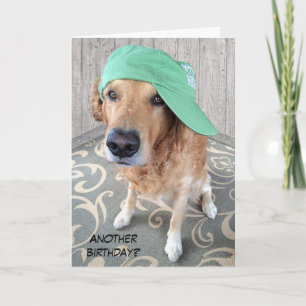 Golden Retriever Birthday Humor Karte