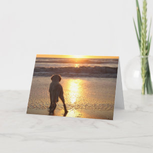 Golden Retriever Blank Foto Card Karte