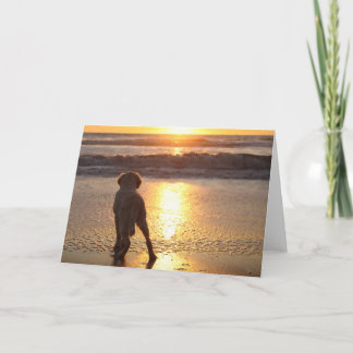 Golden Retriever Blank Foto Card Karte