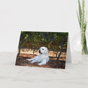 Golden Retriever Blank Grußkarte Karte