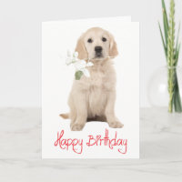  Golden Retriever Blumen Welpen Hund Alles Gute zu