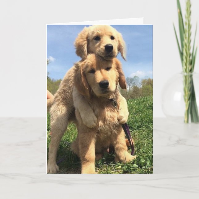 Golden Retriever Brothers Karte (Vorderseite)