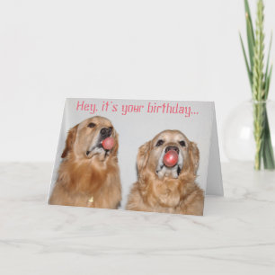 Golden Retriever Bubblegum Birthday Karte