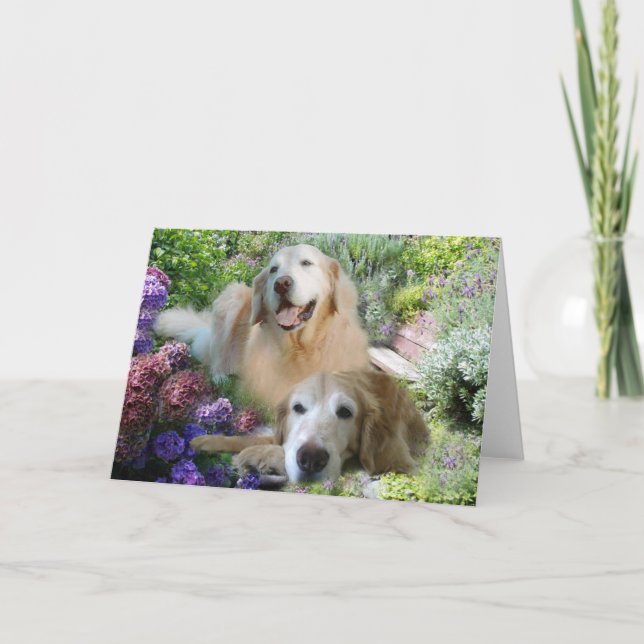 Golden Retriever Buddies Card Karte (Vorderseite)