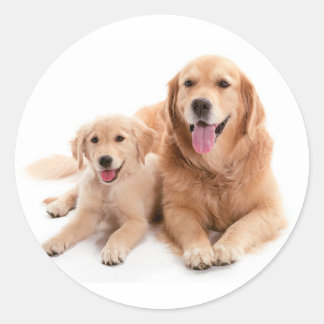 Golden Retriever Buddies Runder Aufkleber