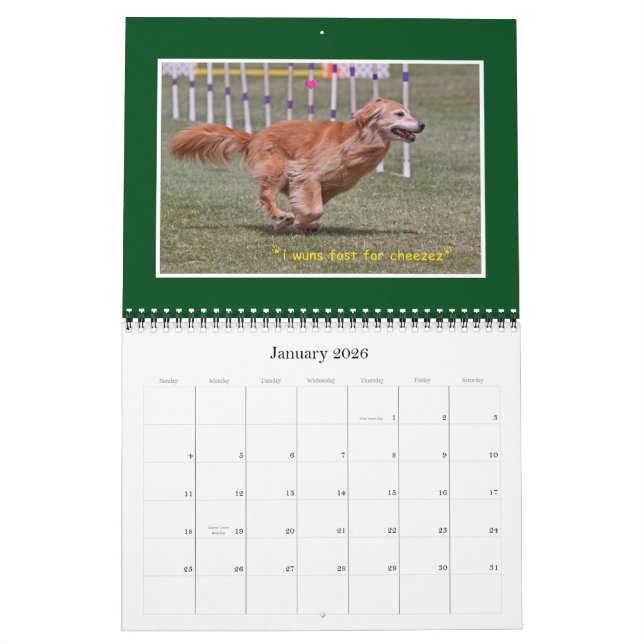 Golden Retriever Calendar 2012 Kalender (Jan 2026)