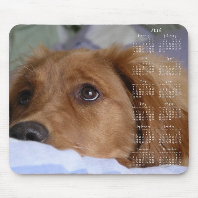Golden Retriever Calendar 2016 Maus-Pads Mousepad (Vorne)