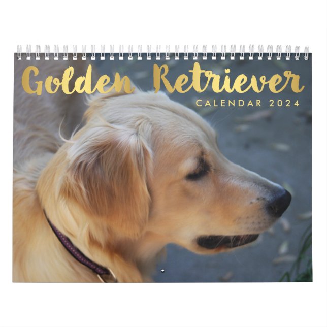 Golden Retriever Calendar 2024 Fotos Kalender (Titelbild)