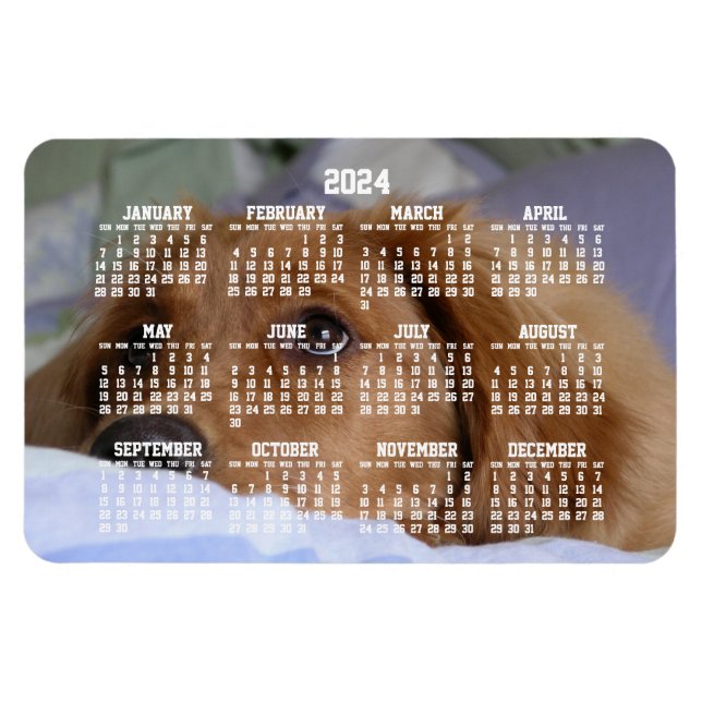 Golden Retriever Calendar 2024 Großes Foto Magnet (Horizontal)