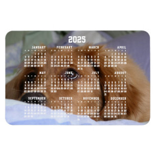 Golden Retriever Calendar 2025 Großes Foto Magnet