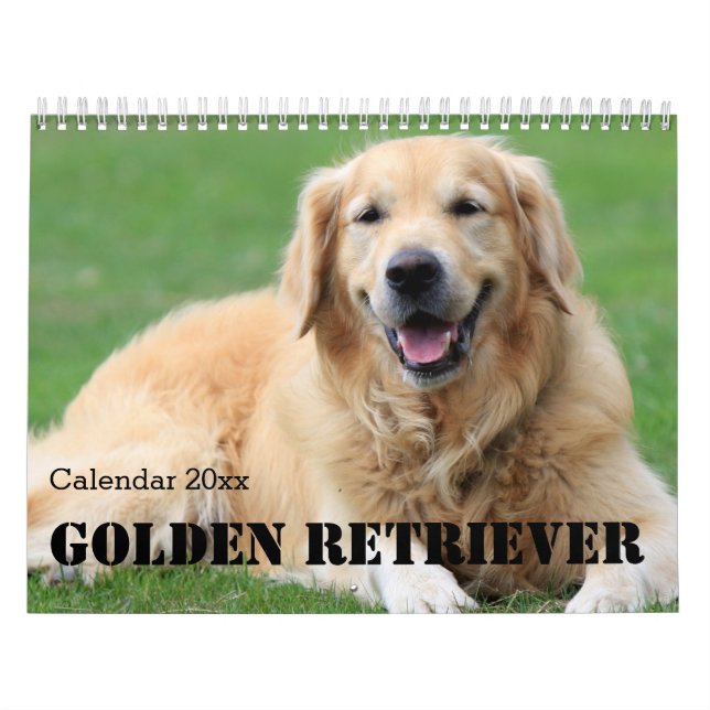 Golden Retriever Calendar 2026 Kalender (Titelbild)