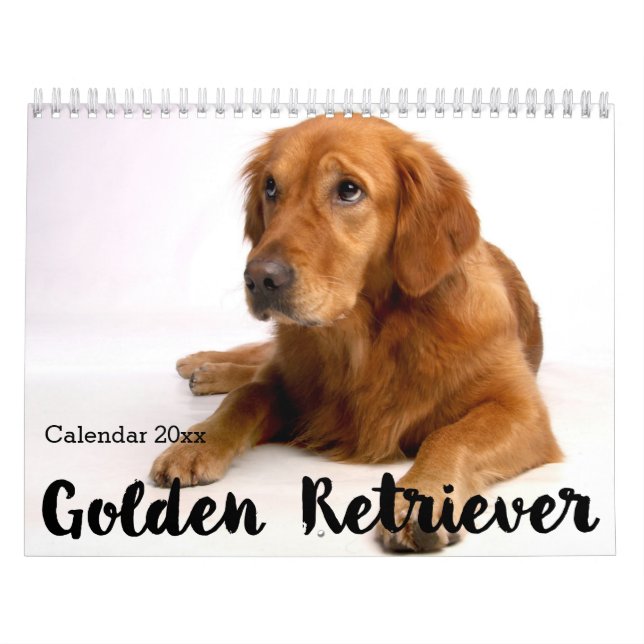 Golden Retriever Calendar 2026 Kalender (Titelbild)